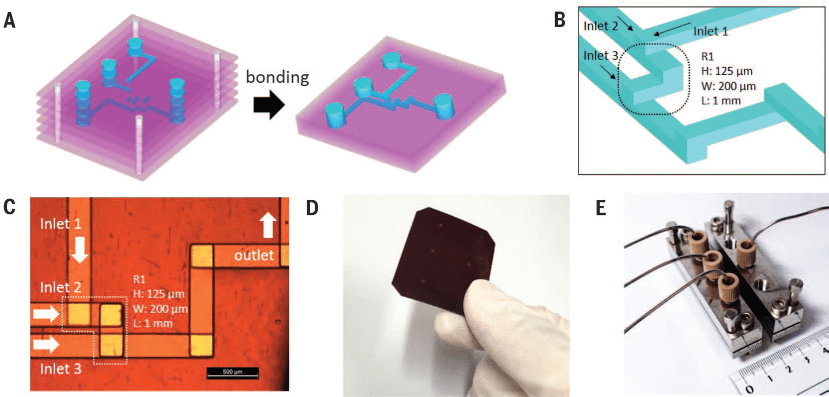 Serpentine-shaped microfluidic chip 