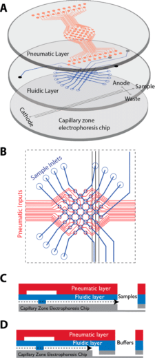 microfluidic chip design for automated sample processing, labelling, and analysis 