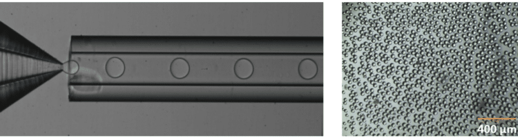 droplet microfluidic chip