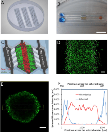 Microdevice operation of the tumor microenvironment.