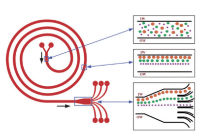 Schematic of the spiral microparticle separator chip for cell sorting