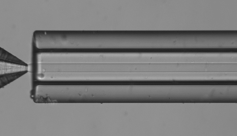 liposome generation microfluidic