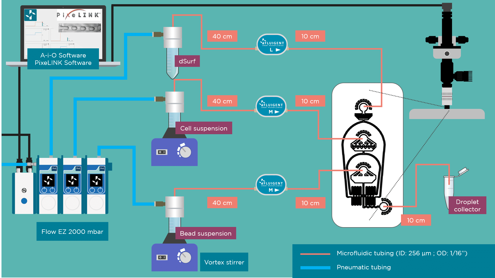 Fluidic set up for encapsulation