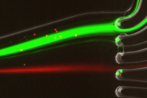 microfluidic cell sorting