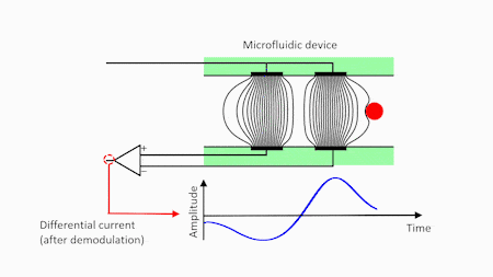 Electrical impedance spectroscopy principle