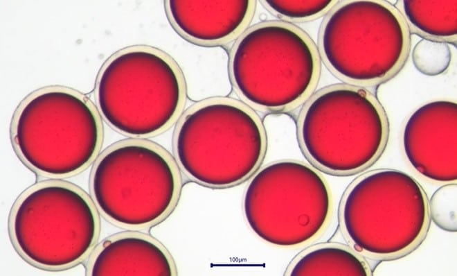 monodispersed chitosan microcapsules with a solid chitosan shell