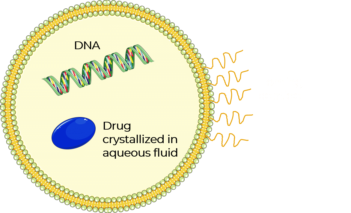 cell encapsulation for Drug delivery