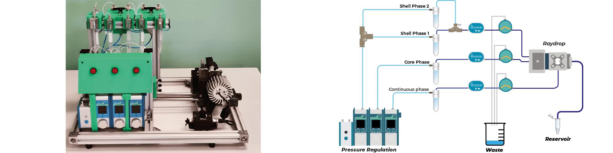 Materials for chitosan microcapsules generation