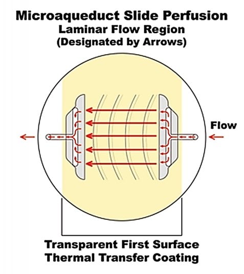 Microaqueduct slide Perfusion