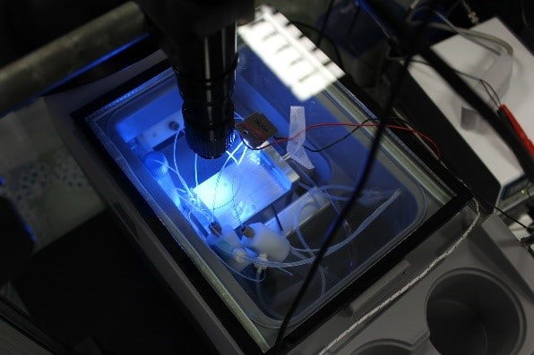 Microbeads-based-microfluidics