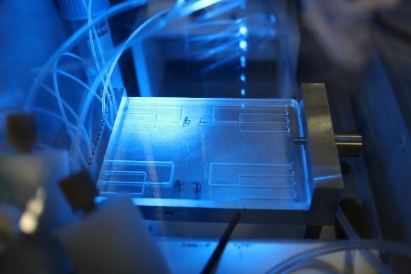 microfluidic chip for prostate organoids culture