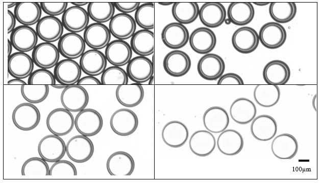 Microcapsule-with-shell-thickness-adjustment