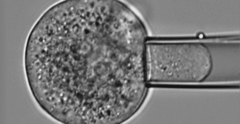 micropipette aspiration method