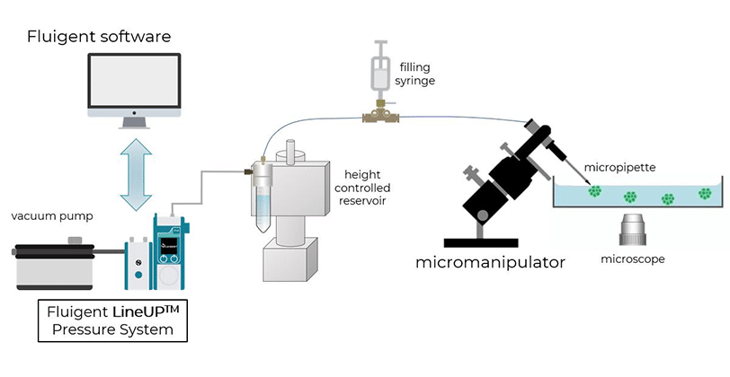 micropipette aspiration method