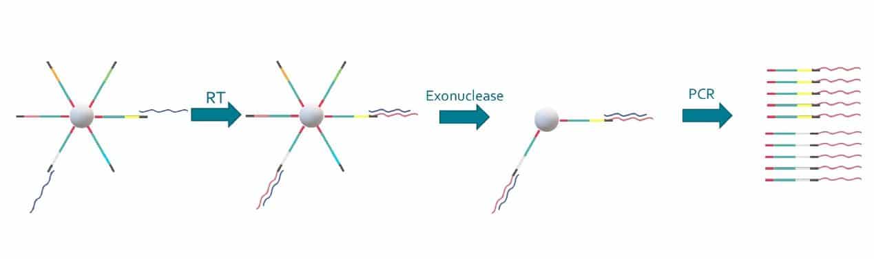 dropseq method capture of RNA