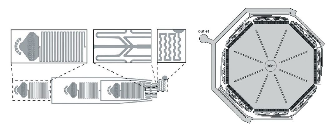 New encapsulation and capture chip