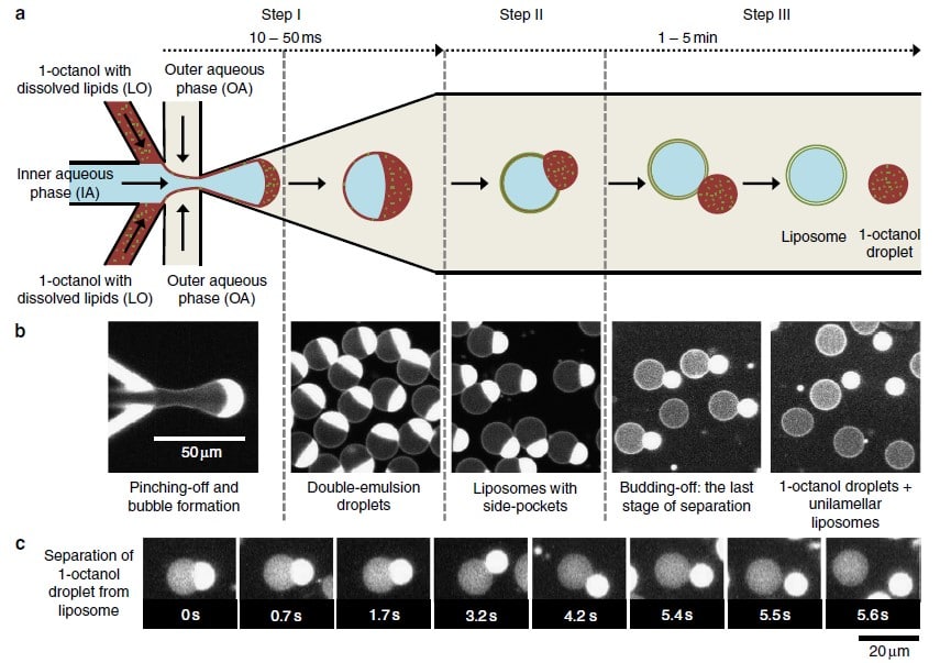 on-chip-production-of-liposomes-using-ola