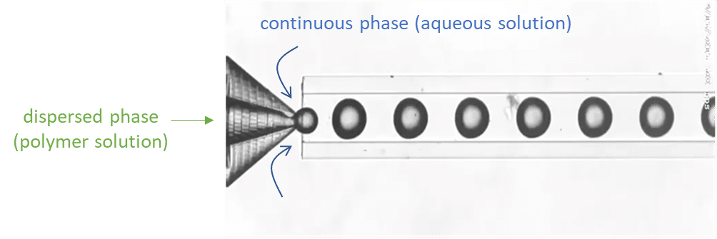 Picture-of-the-particle-polymerization-process