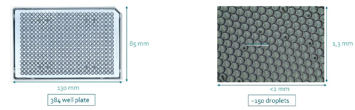 Plate based versus microfluidics approach