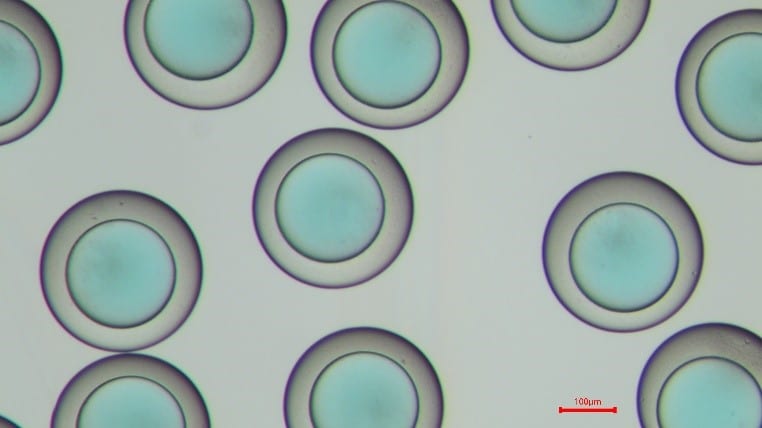 plga microcapsule