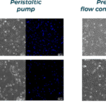 pressure-vs-peristaltic