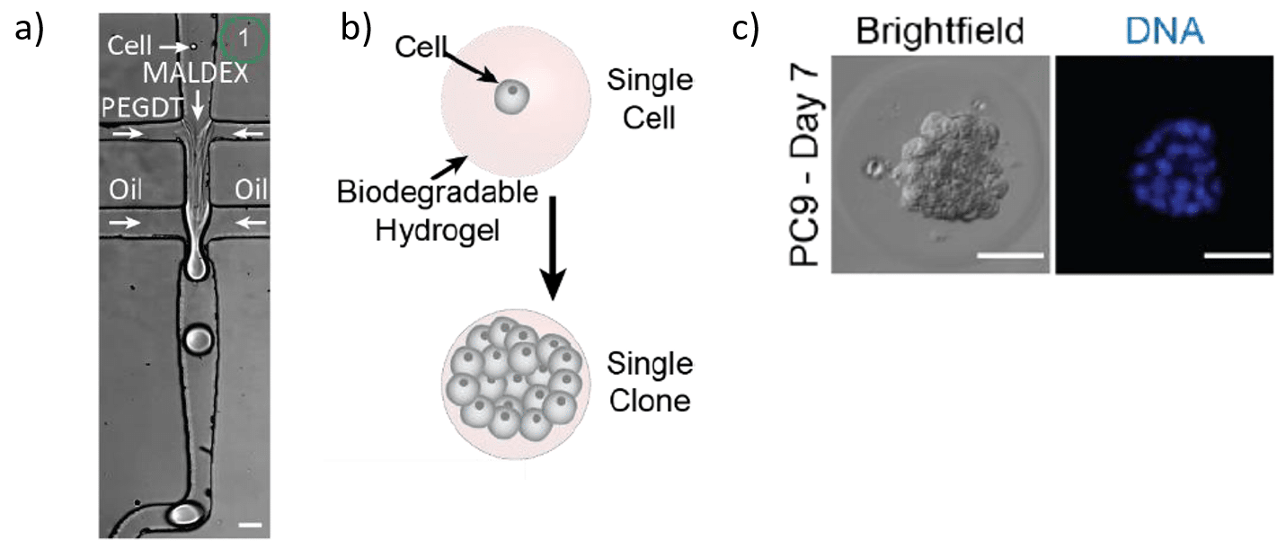 Results of single-cell encapsulation in hydrogels