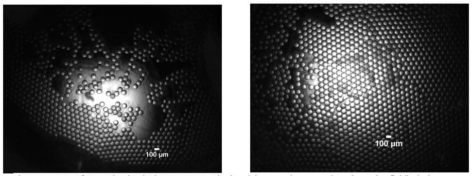 Resultsoil in water emulsions - decane droplet in water