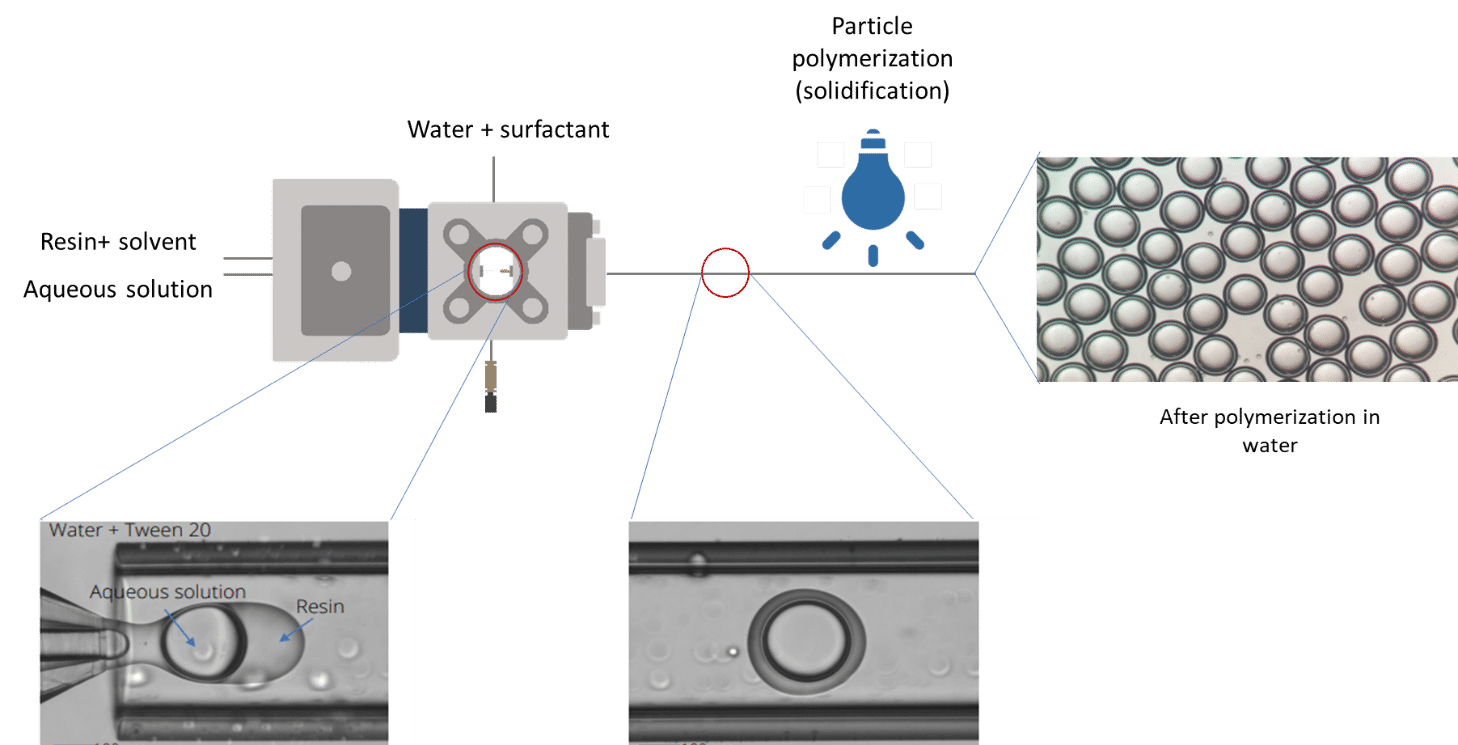 Scheme-of-the-microcapsule-production-process