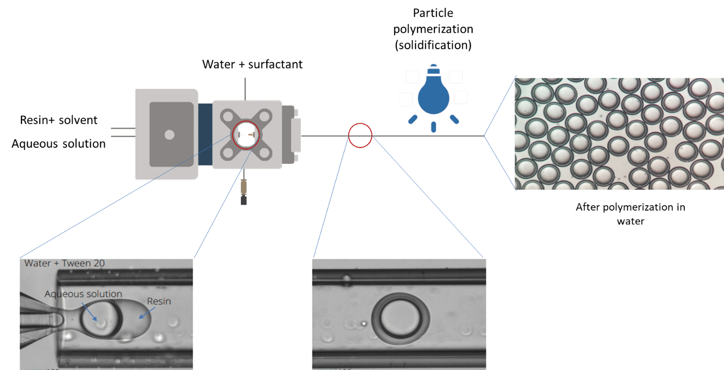 Scheme of the microcapsule production process