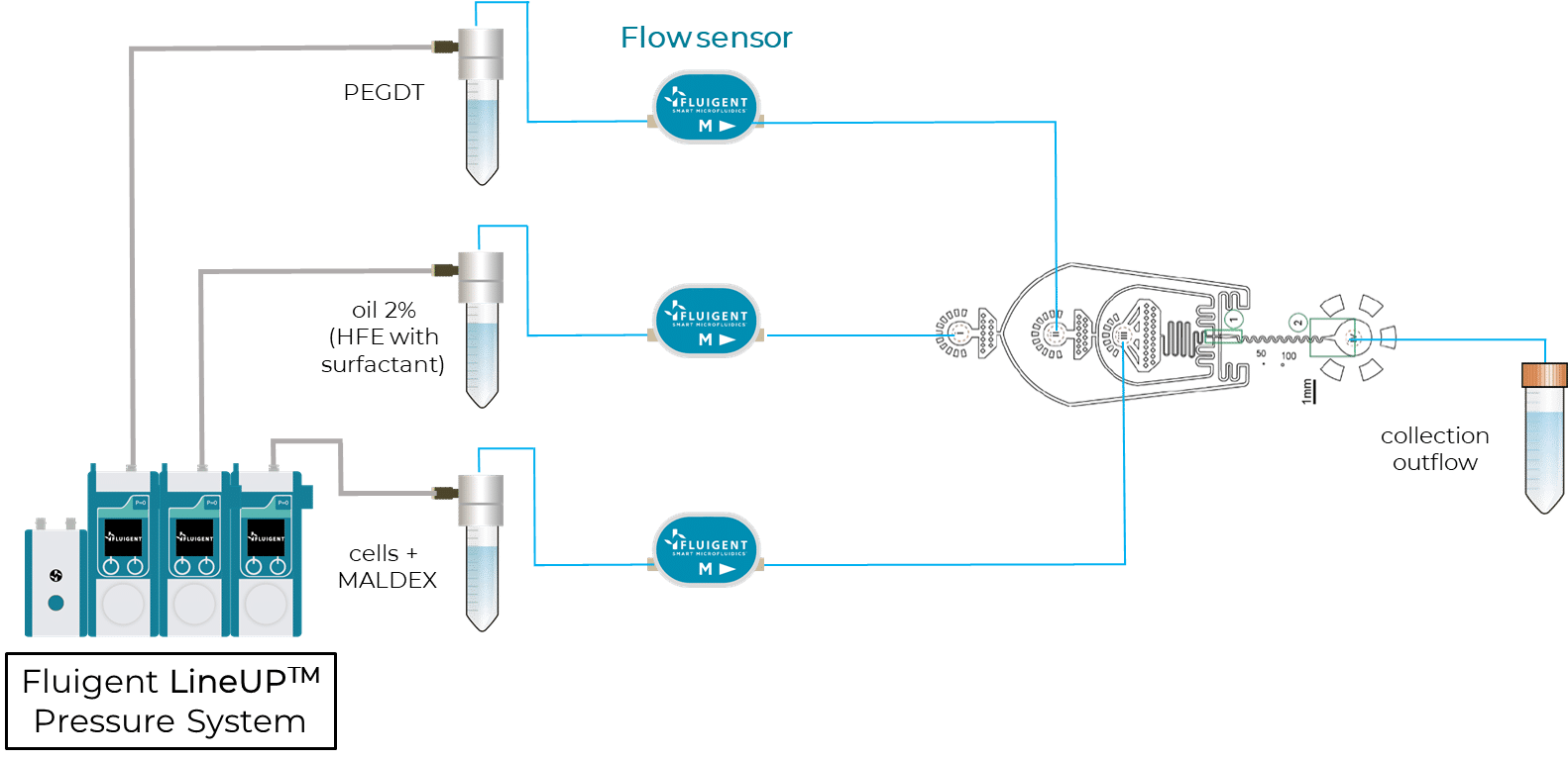 Single cell sequencing for single cell setup