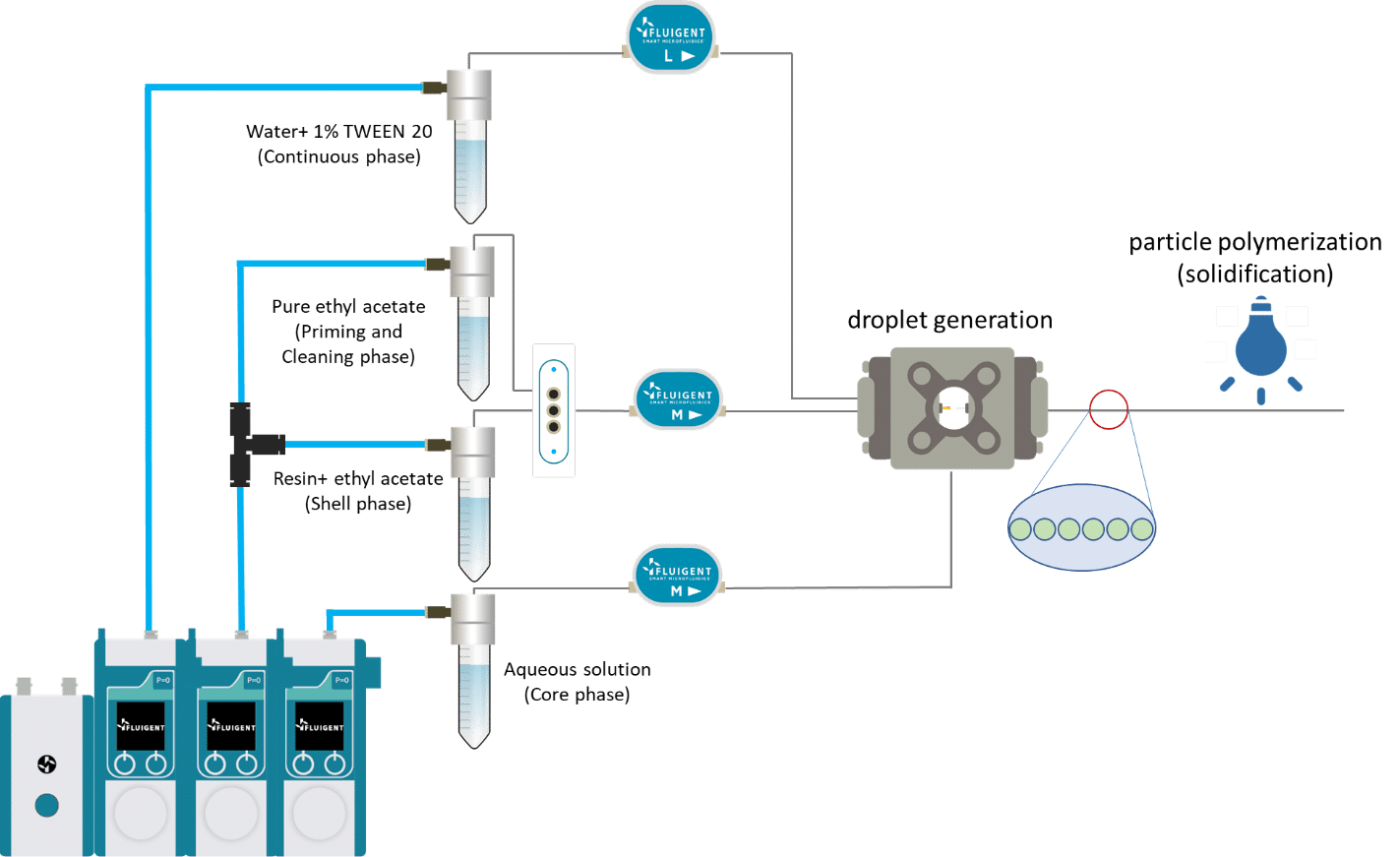 UV-Crosslinking of Microcapsules
Setup