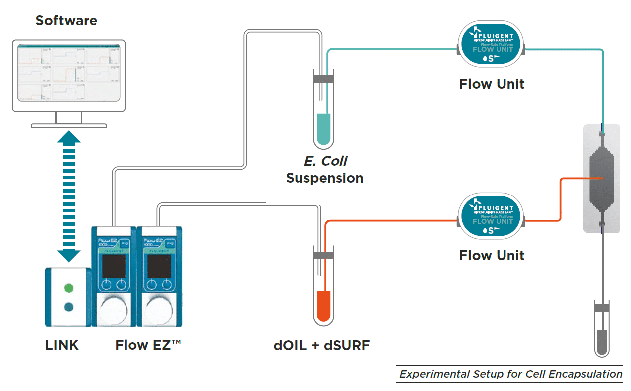 E. Coli Culture in Droplets set up