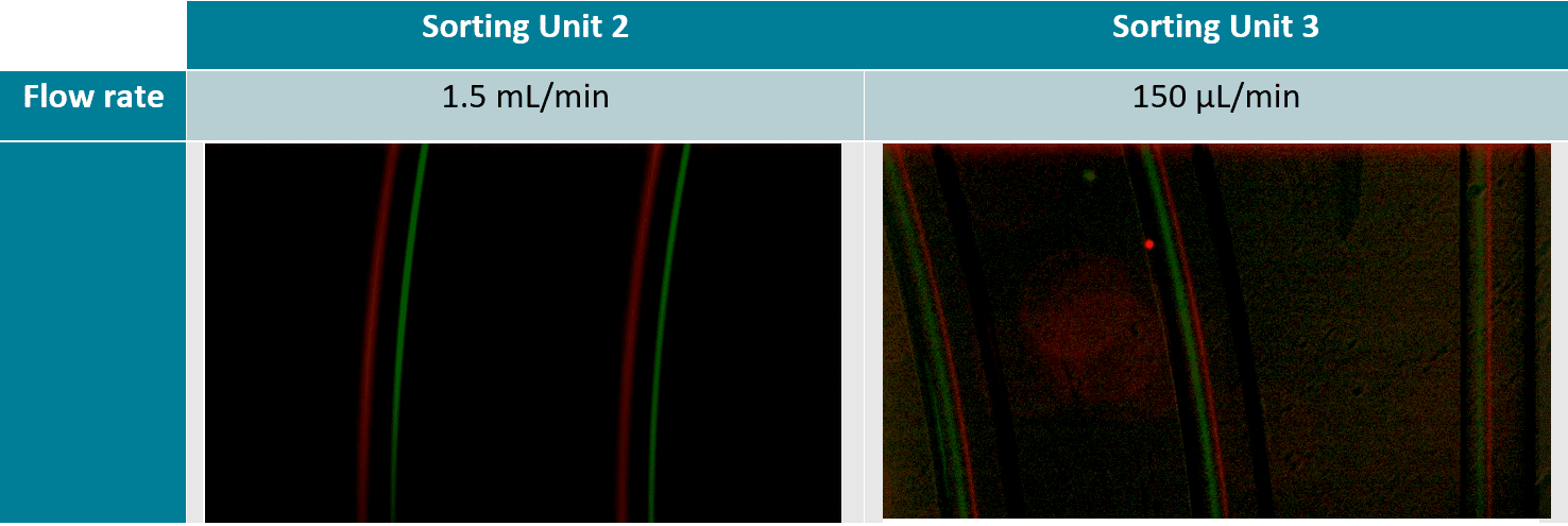 sorting-unit-and-result