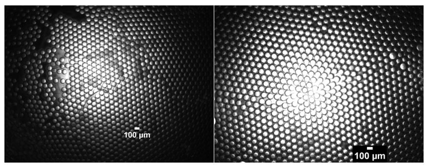 WATER-in-Fluorocarbon-water droplets in dSURF