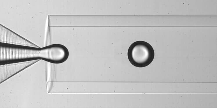 Water in oil emulsions