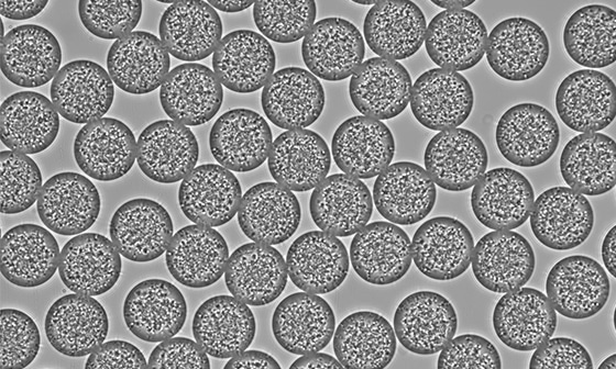 drug encapsulation PLGA Microparticle Production Pack