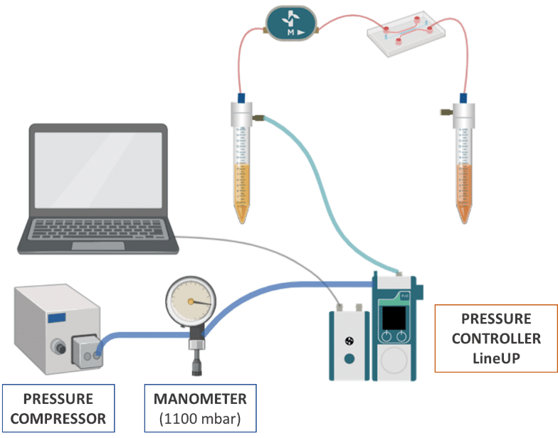 Fluidic System configuration for gut on chip experiment