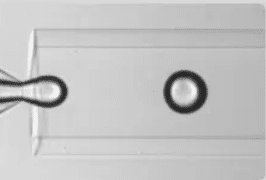 water in oil complex emulsion