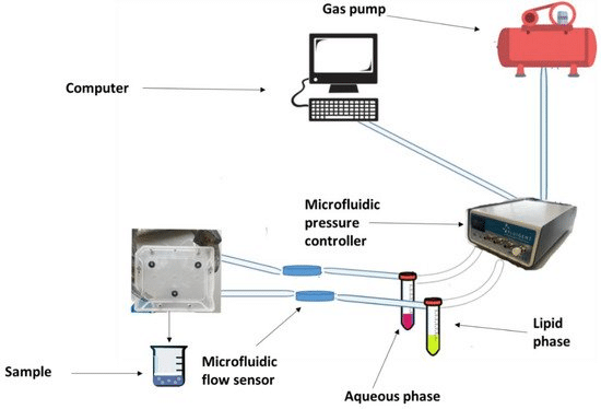 Schematic presentation of liposomes production