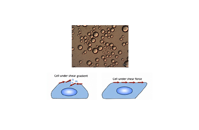 flow pulsations for fluidic system integration