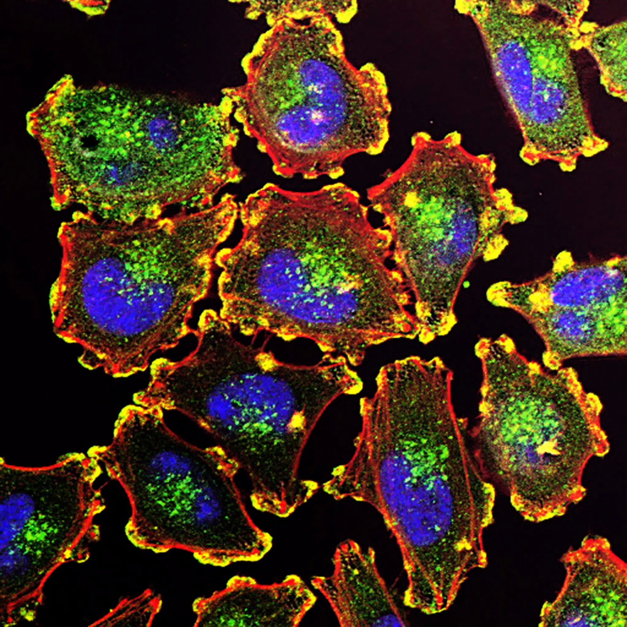 Microfluidics in Life Science