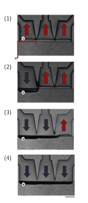 cell perfusion pack