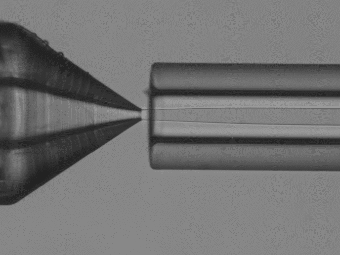 plga nanoparticle synthesis acetone and water pva