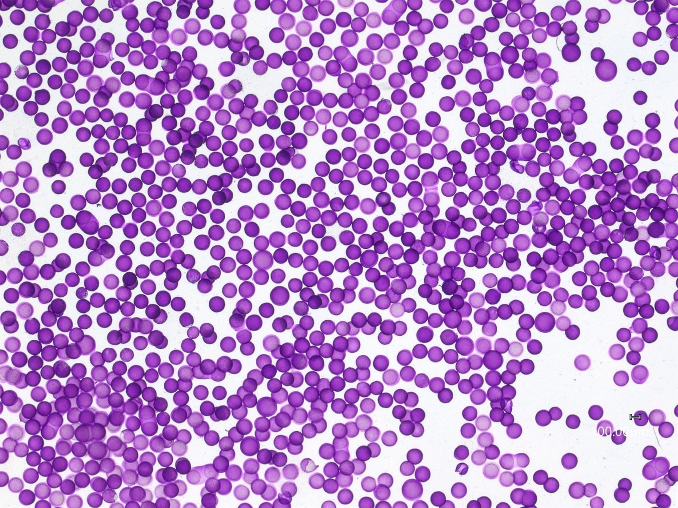 Agarose microcapsules in suspension