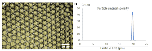 PLGA microparticles size distribution