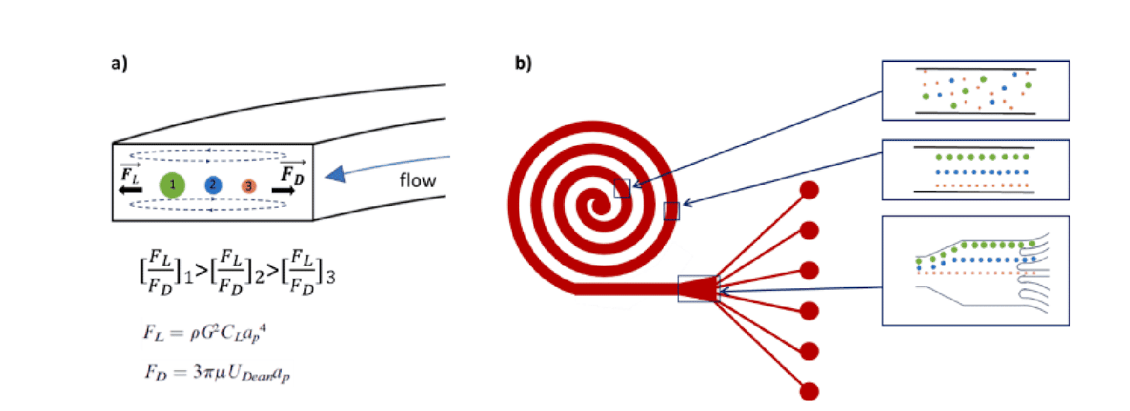 Single cell sorter microfluidic platform