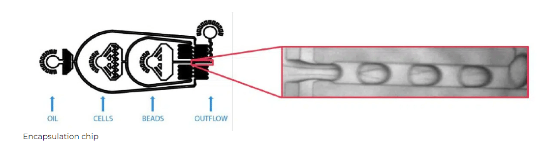 Drop-seq chip