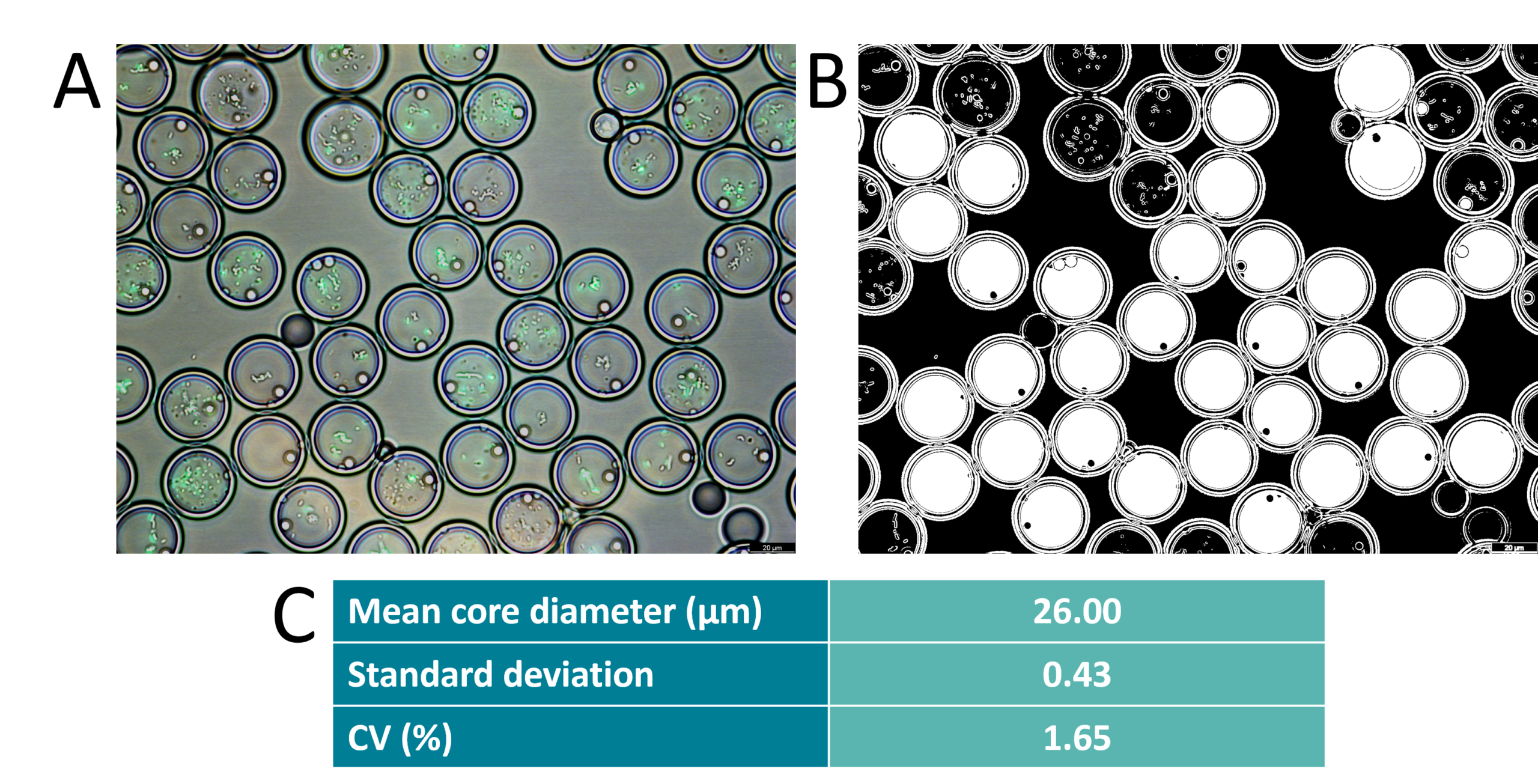 droplet sorting and microscopic observation of E COLI ENCAPSULATION