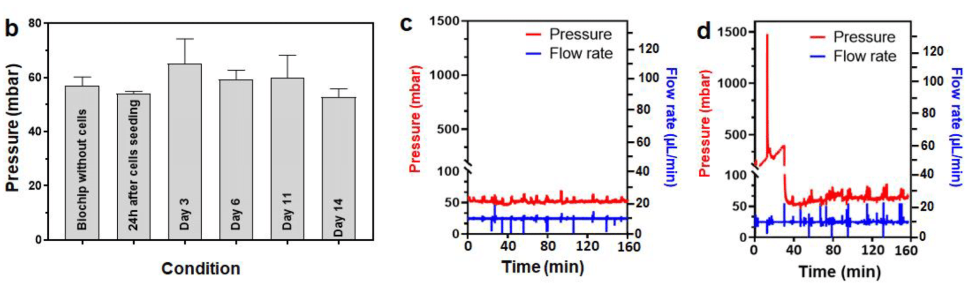 Evolution of the pressure inside the liver on chip