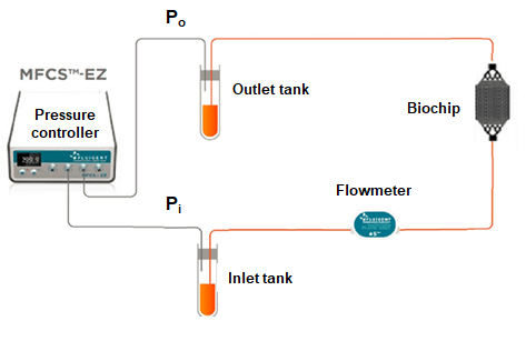 Set up for liver on cip experiment